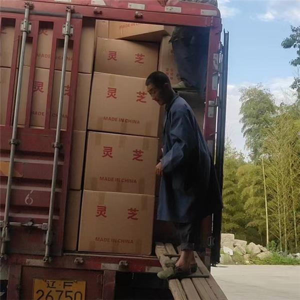 發(fā)貨實(shí)拍